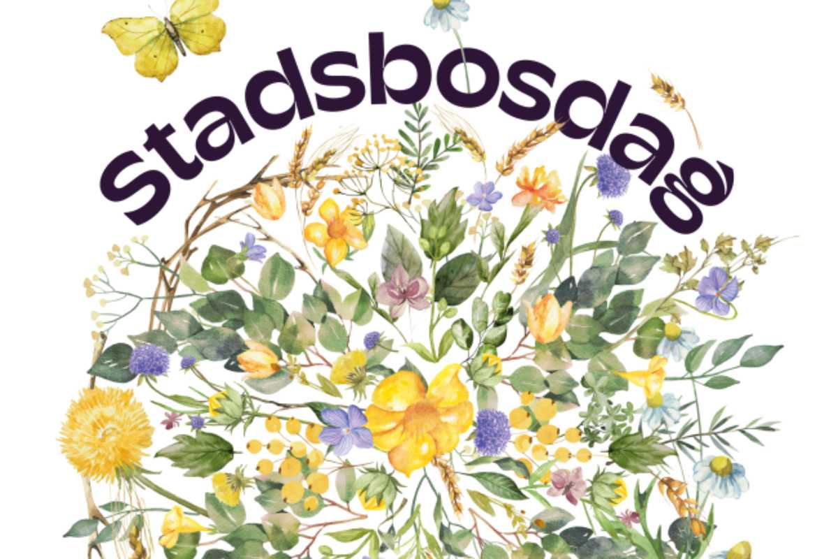 Stadsbosdag 2026 – ga op avontuur!